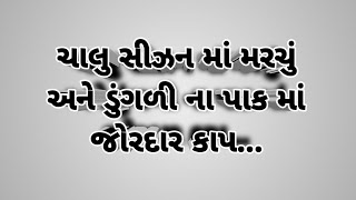 ચાલુ સીઝન માં મરચું અને ડુંગળી ના પાક માં જોરદાર કાપ...