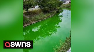 River in Japan turns bright green after bath salt chemicals dumped into water | SWNS