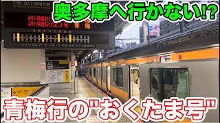 【奥多摩まで行かない⁉︎】青梅行のホリデー快速おくたま号に乗ってみた