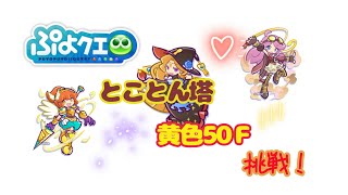 【とことん塔・きいろ50Ｆ】ぷよクエ