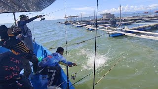 11/11/2024 Trip Mancing at Sangkar Sungai Udang Penang