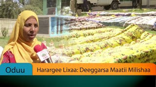 Harargee Lixaa: Deeggarsa Maatii Milishaa