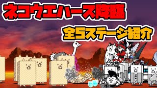 ネコウエハース降臨 全5ステージの紹介 バニラ味 1枚目~ラスト【にゃんこ大戦争】