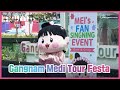 Gangnam Medi Tour Festa