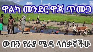 ቅኝት ዋልካ መንደር-ዋጃ ከተማ-ዋጃ ውሀ-ጥሙጋ ውቡን የራያ ሜዳ ላሰቃኛችሁ ክፍል ሁለት (part 2)