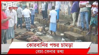 কোরবানির পশুর চামড়া আসতে শুরু করেছে চট্টগ্রামের চামড়ার বাজারে।