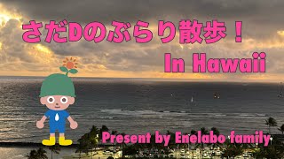 さだDぶらり散歩！　In Hawaii!