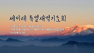 20221222 목_ 세이레 특새