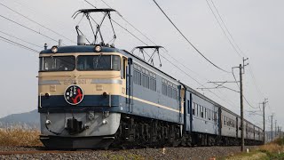 9135レ ELレトロぐんまよこかわ EF65-501+旧客6両+D51-498