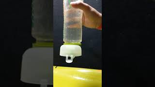 Magical Water experiment ||Amazing  Experiment|| #trending #shorts #viral  #yt #ytshort #experiment
