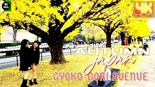 GYOKO DORI AVENUE | 行幸通り中央車線広場 | AUTUMN SEASON | JAPAN WALK | 4K @NOYJITV