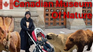 Canadian Museum Of Nature| යන්නම ඕන museum එකක්| සිංහල | 🇨🇦