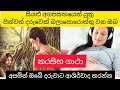 සිංහල තේරුම සමග නරසීහ ගාථා| Naraseeha Gatha with Sinhala meaning| පින්වත් දරුවෙක් වෙනුවෙන් දිනපතා