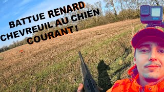 Mes 2 premiers chevreuils : battue chien courants