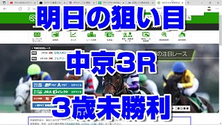 【競馬予想】明日の狙い目 中京3R3歳未勝利2022 最終結論 フェアリーステークス