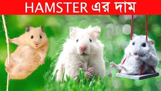 গিনিপিগের দাম |🐹| Guinea Pig Price in Bangladesh || Guinea pig price in Bangladesh |