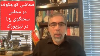 سخنگوی رو سیه در مجلس سخنگوی ج .ا  در نیویورک/ فحا شی کوچک زاده