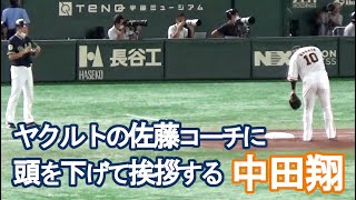 【礼儀正しい中田翔】ヤクルト佐藤コーチに頭を下げて挨拶