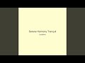Serene Harmony Tranquil