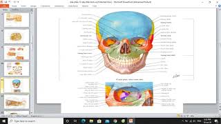 GIẢI PHẪU 12 ĐÔI DÂY THẦN KINH SỌ   ĐỆ TỬ Y6 Y HÀ NỘI   BS THÔNG