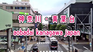 KANAGAWA WALK 神奈川・青葉台の街並み aobadai kanagawa japan