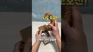 돈을 낚시하는 방법?!