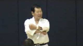 Shotokan Karate 8