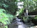 日本の滝・清流～名水百選　霧島山麓丸池湧水