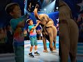 cute boy u0026 baby elephant 🐘 steal the show ✨ america s got talent elephant agt shorts