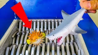 PLASTIC SHARKS VS SHREDDING MACHINE!  CRUNCHY AND SOFT THINGS SHREDDED! COOL EXPERIMENT!  ASMR