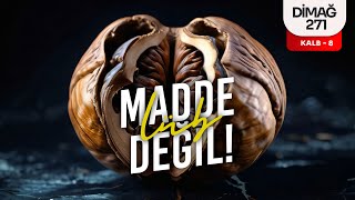 MADDE LÜB DEĞİL! | DİMAĞ-271 KALB-8