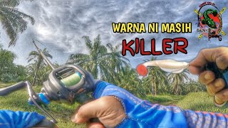 MANCING HARUAN OR FISHING SNAKEHEAD|PARIT KERING JANGAN DILEPASKAN..,MESTI GASAK.