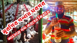 কিভাবে ব্রয়লার মুরগির গলায় ঘরঘর আওয়াজ বন্ধ করবেন#How to Stop Broiler Chickens from Clucking-2023