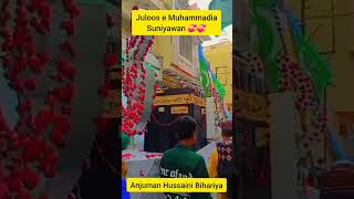 juloos e Muhammadia Suniyawan lalgopalganj karbala #1445 #religion #eidmiladunnabi #subscribe