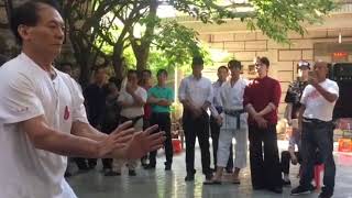 福建五祖拳五戰鐵臂蔡長慶Fujian Five Ancestor Boxing Wuzu Quan \