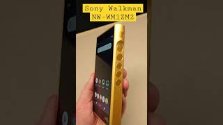 Sony Walkman Signature |Digital Media Player NW-WM1ZM2 #shorts #newmodel