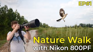 Relaxing Nature Walk and Bird Photography (+FREE Fine Art Print Giveaway)