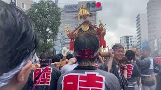 富岡八幡宮例大祭連合渡御白河三丁目神輿木場五丁目2023年8月13日