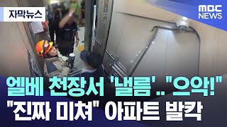 [자막뉴스] 엘베 천장서 '낼름'.."으악!" "진짜 미쳐" 아파트 발칵 (2024.06.17/MBC뉴스)