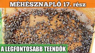 Méhésznapló #17 - Elkezdődött az új szezon