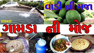 Village Life in Gujarat | Saurashtra Safar | સૌરાષ્ટ્ર  ગામડા ની મોજ ગુજરાતના ગામડા || 1 LAKH +