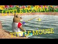 Little Tommy Tittle Mouse - Nursery Rhyme Kids Song - Popular Nursery Rhymes - Pankoo Kids