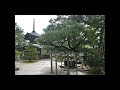 天橋立 知恩寺・文殊堂 2022 11 16 shorts