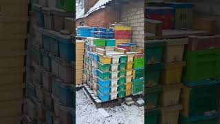 Зимова ревізія, роздача канді.                                 #fabro #fabrobeekeeper