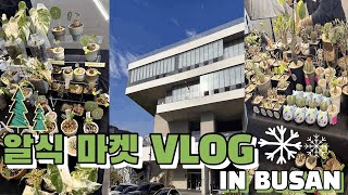 VLOGㅣ알식마켓 IN.부산ㅣ영도 피아크ㅣ희귀식물마켓ㅣ브이로그 ㅣ