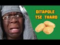 Ditapole tse tharo || Teboho🤣😭 ||Tjhabination Skits || Must Watch‼️🔥