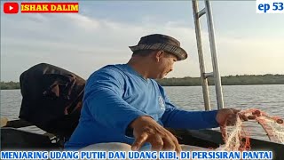 MENJARING UDANG PUTIH DAN UDANG KIBI, DI PERSISIRAN PANTAI