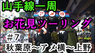 【自転車車載】クロスバイクで山手線一周＆お花見ツーリング Part7 秋葉原駅～アメ横～上野駅【サイクリング/シェファードシティ/ライトウェイ/SHEPHERD CITY/RITEWAY】