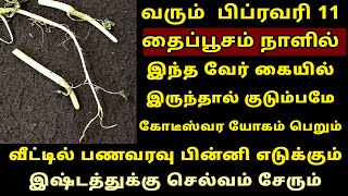 வரும் Feb-11 தைப்பூசம் இந்த ஒரு வேர் கையில் இருந்தால் கோடீஸ்வர யோகம் தான்! Thaipusam 2025