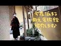 子供2人と計画した【主人の還暦・定年祝う旅】❼湯布院純日本風のお宿を披露します👍スタッフの接客・茶道姿カッコ良かった👍熟年夫婦温泉のシーンも！（観たくないよねー😅）第219集